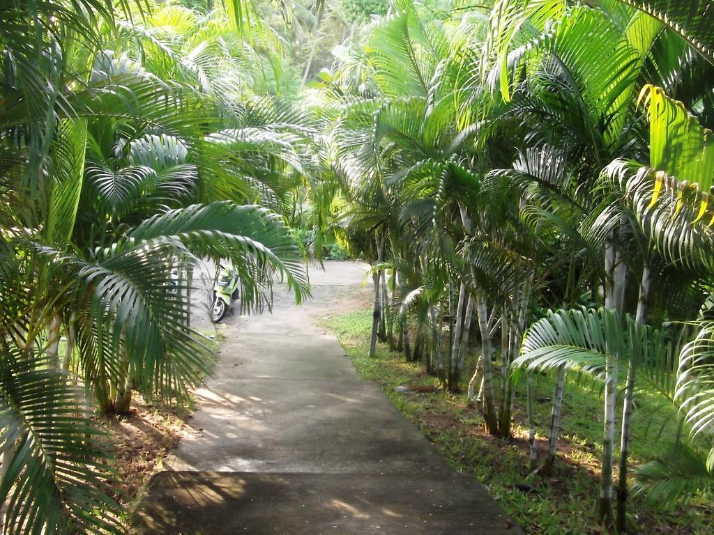Wilai Villa Lamai Maret Exterior foto